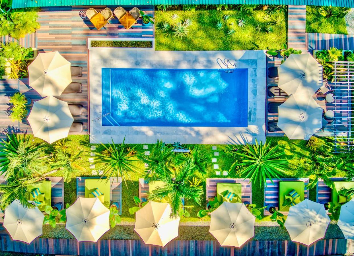 Exotico Beach Hotel Puerto Viejo de Talamanca Eksteriør billede