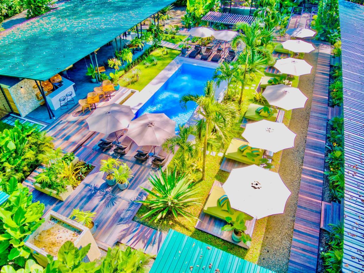 Exotico Beach Hotel Puerto Viejo de Talamanca Eksteriør billede