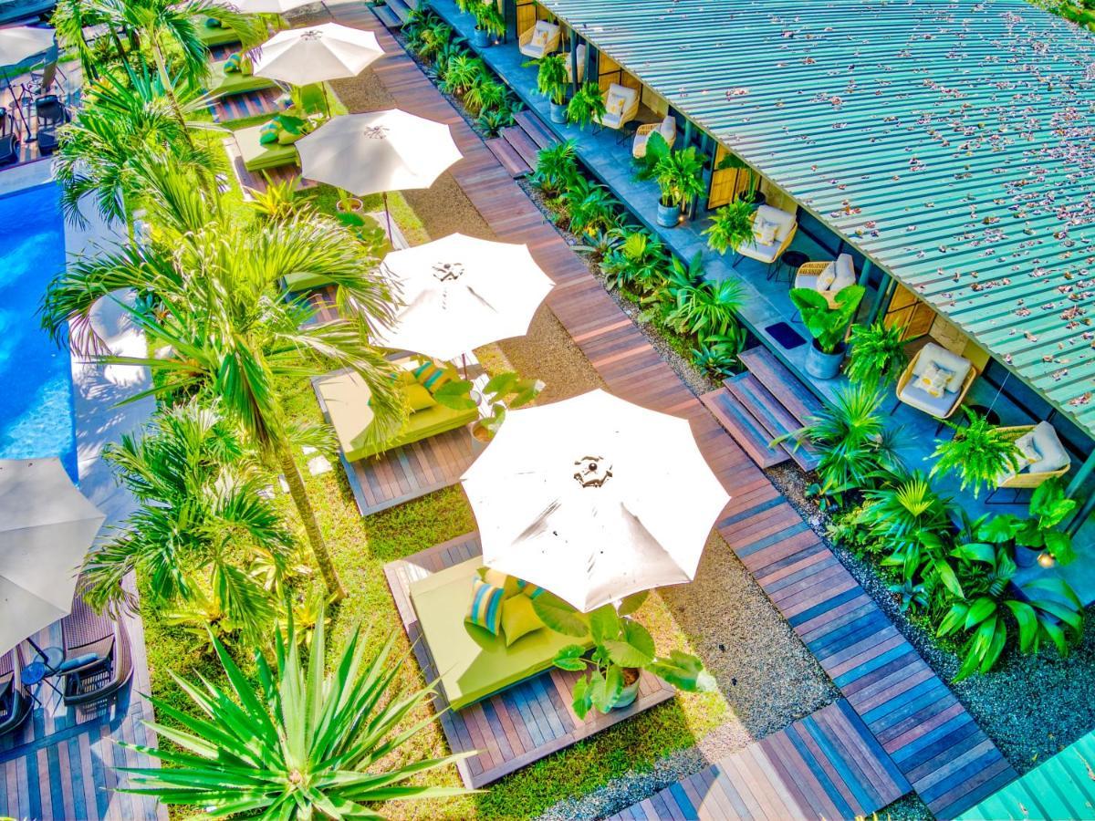 Exotico Beach Hotel Puerto Viejo de Talamanca Eksteriør billede