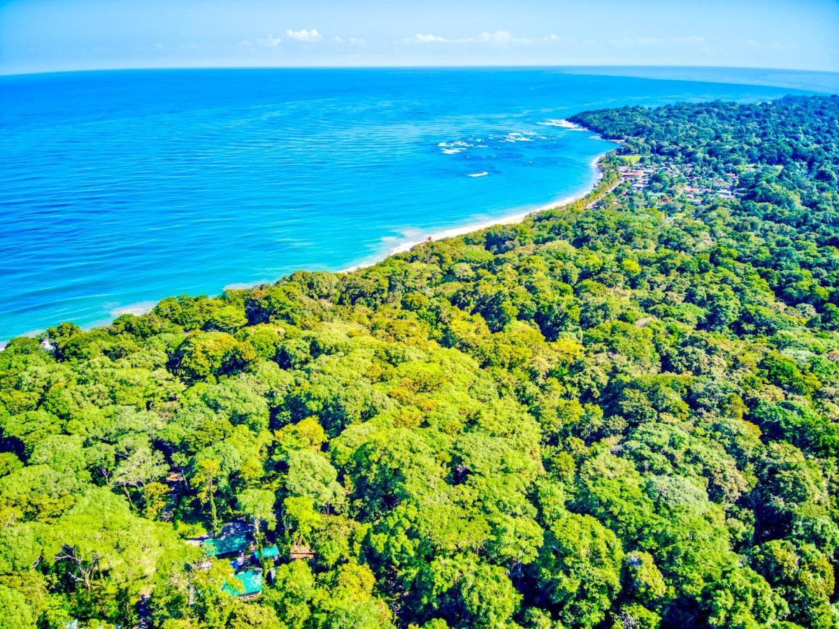 Exotico Beach Hotel Puerto Viejo de Talamanca Eksteriør billede
