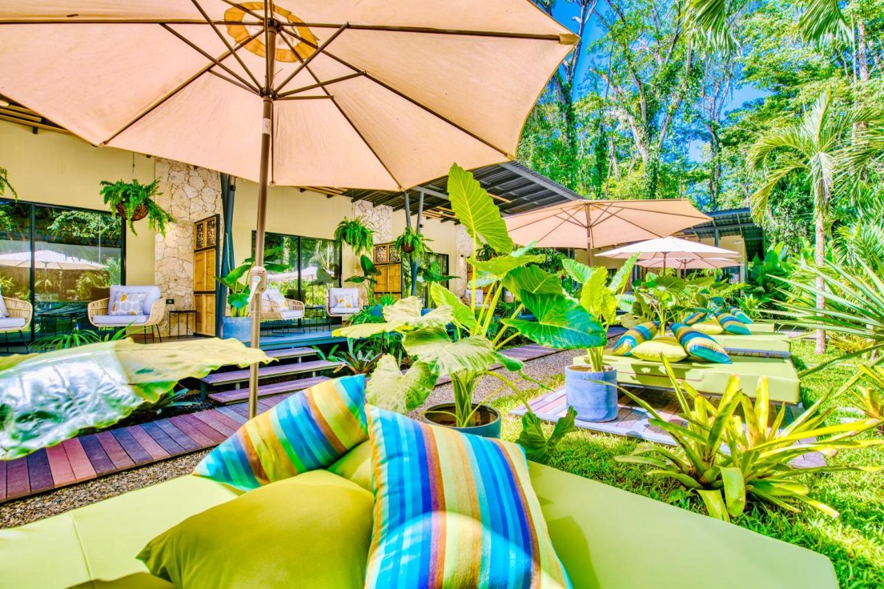 Exotico Beach Hotel Puerto Viejo de Talamanca Eksteriør billede